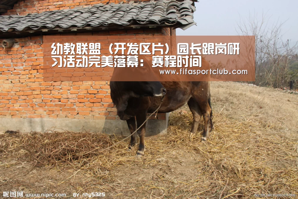 赛程时间