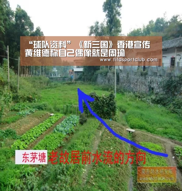 球队资料