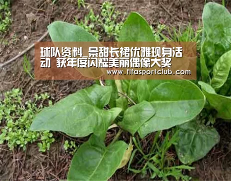 球队资料_景甜长裙优雅现身活动 获年度闪耀美丽偶像大奖(图3) 新闻快讯