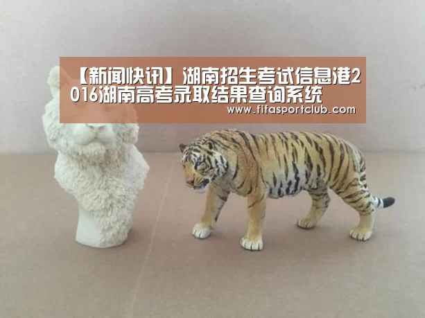【新闻快讯】湖南招生考试信息港2016湖南高考录取结果查询系统(图1) 赛程时间